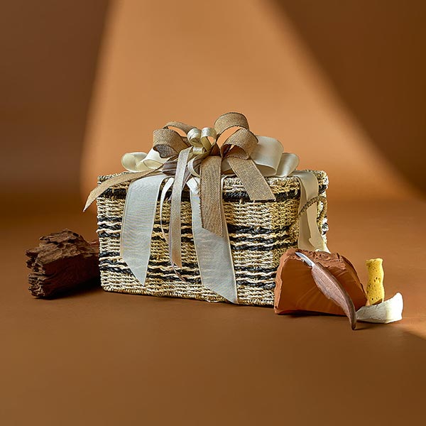 Lote Regalo Navidad Vega 610