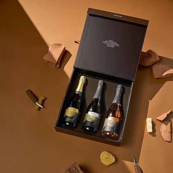 Lote Regalo Navidad Vega 601