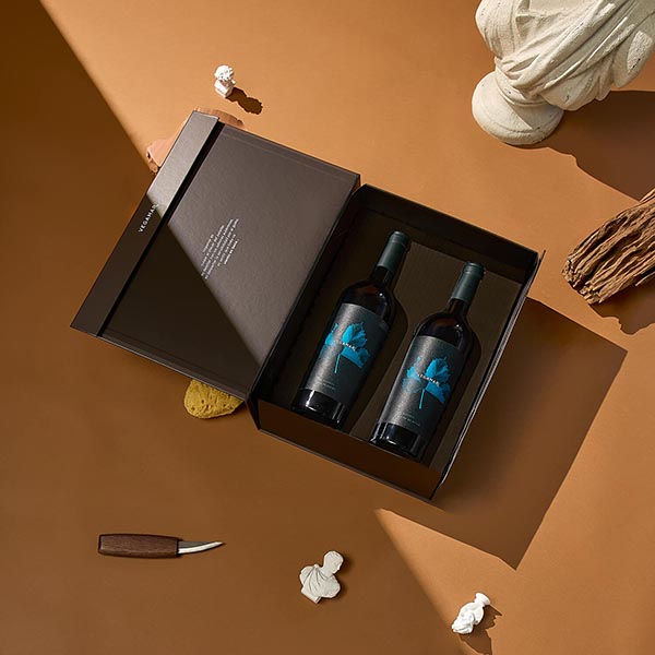 Lote Regalo Navidad Vega 603