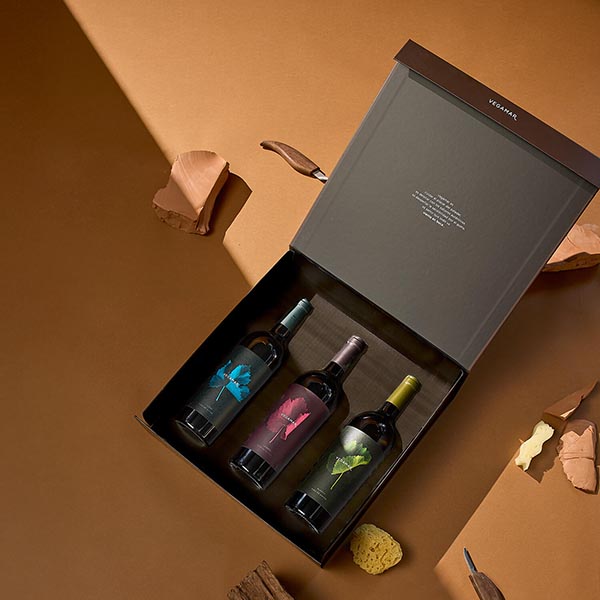 Lote Regalo Navidad Vega 604