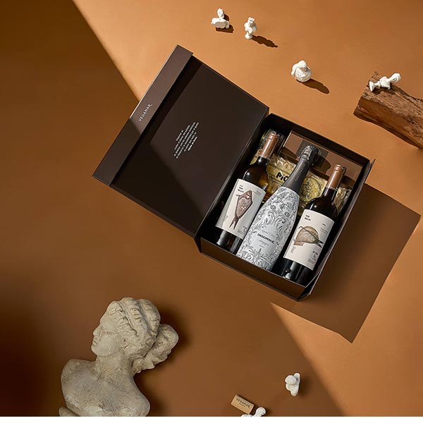 Lote Regalo Navidad Vega 608